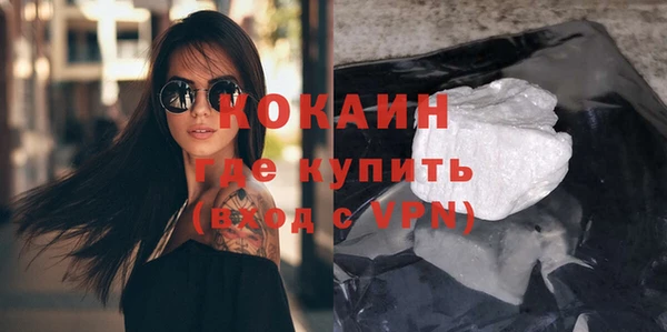 соль ск Дмитриев