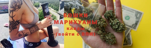 соль ск Дмитриев