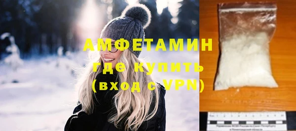 соль ск Дмитриев