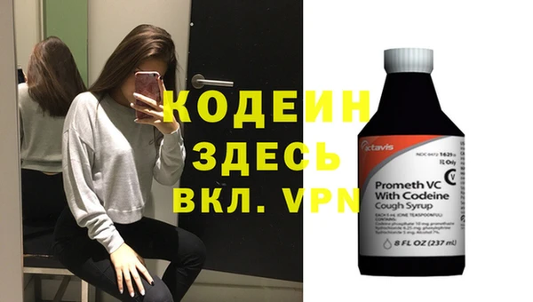 дмт Дмитров