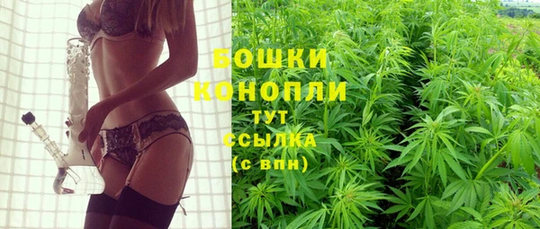 дмт Дмитров