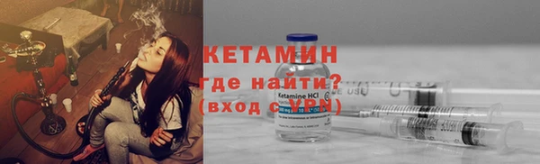 соль ск Дмитриев