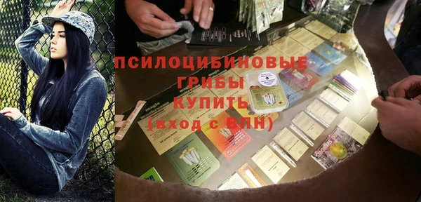соль ск Дмитриев