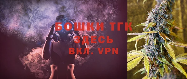 дмт Дмитров